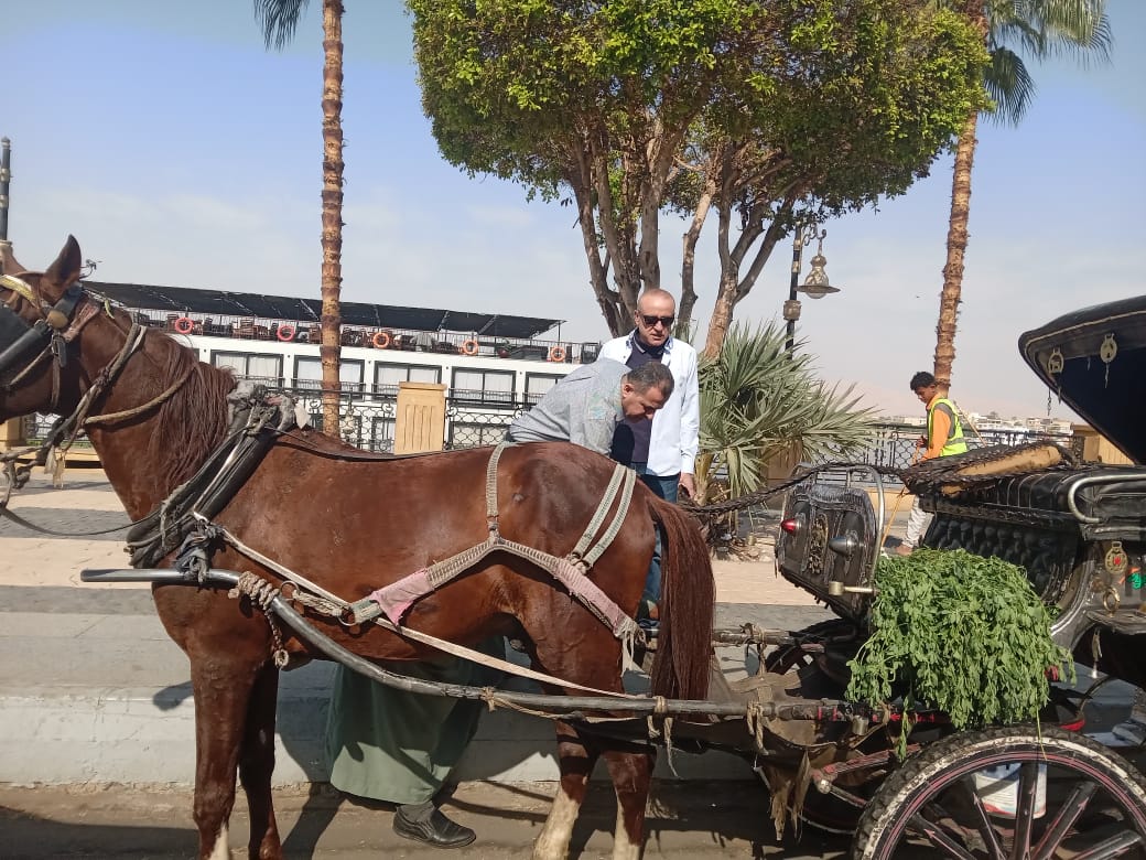 محافظ الأقصر وجولة صباحية لمتابعة مستوى النظافة