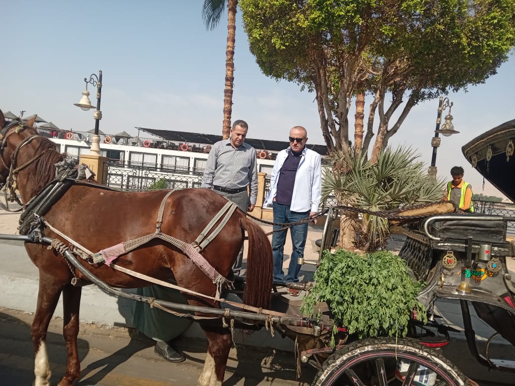 محافظ الأقصر وجولة صباحية لمتابعة مستوى النظافة