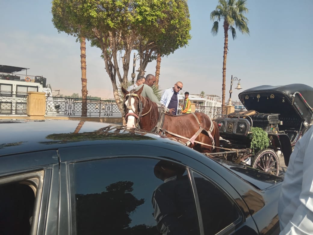 محافظ الأقصر وجولة صباحية لمتابعة مستوى النظافة