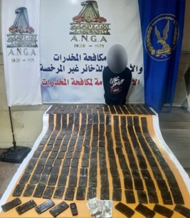 الضبطيات (12)