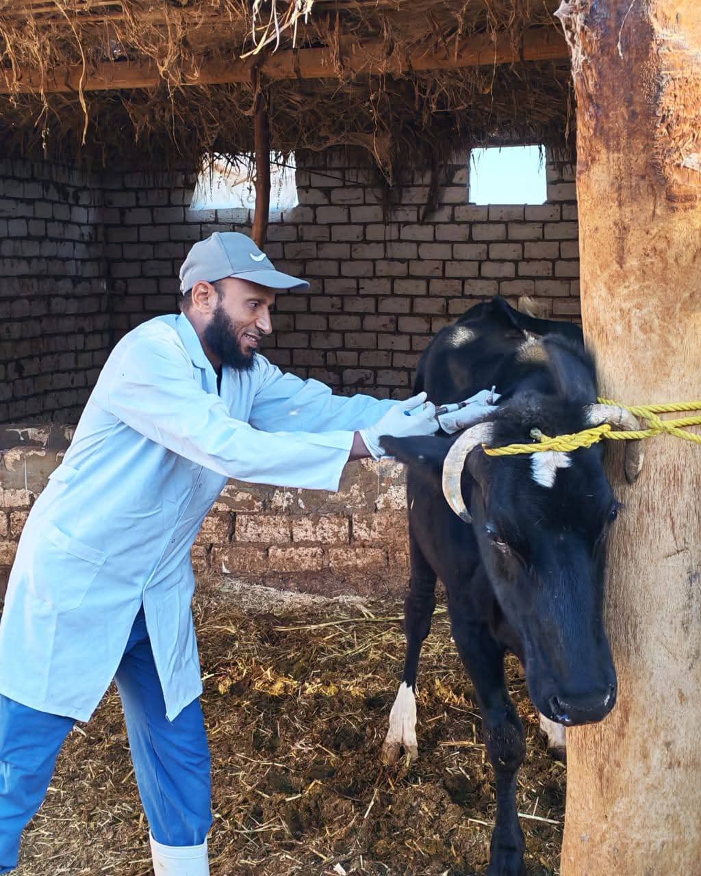 جانب من حملات الطب البيطري في الوادى الجديد