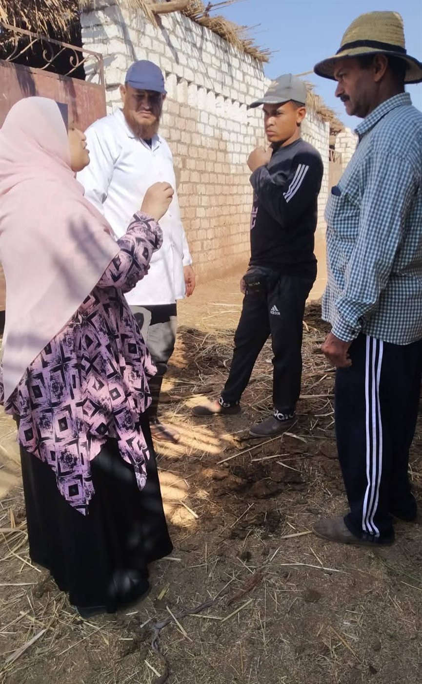 جانب من حملات الطب البيطري في الوادى الجديد