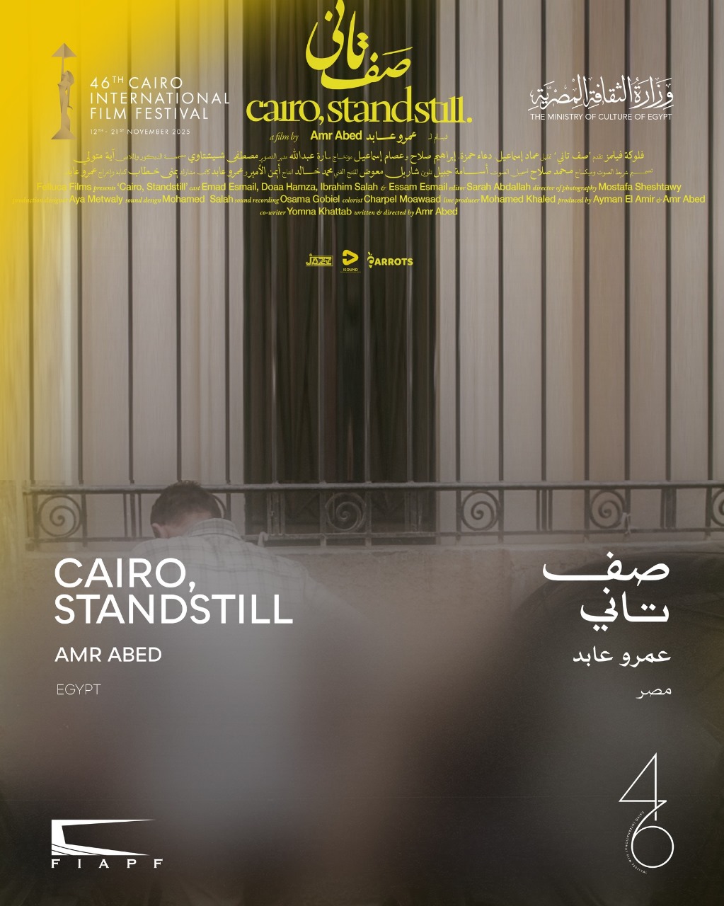 مهرجان القاهرة السينمائي