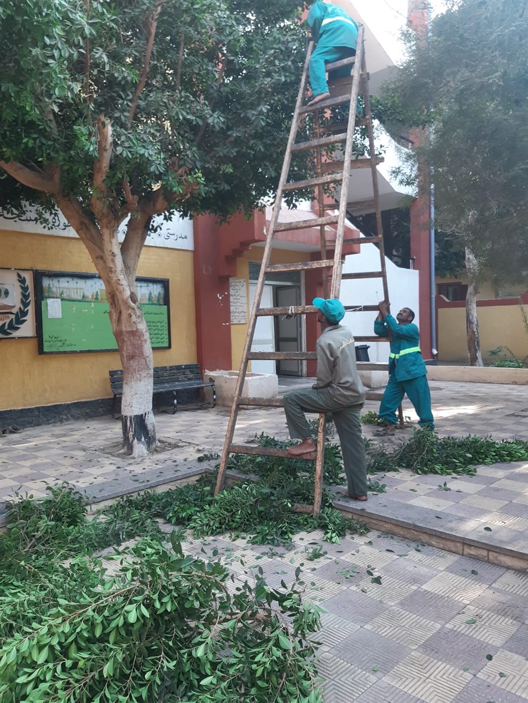 استعدادات مكثفة للانتخابات بالأقصر