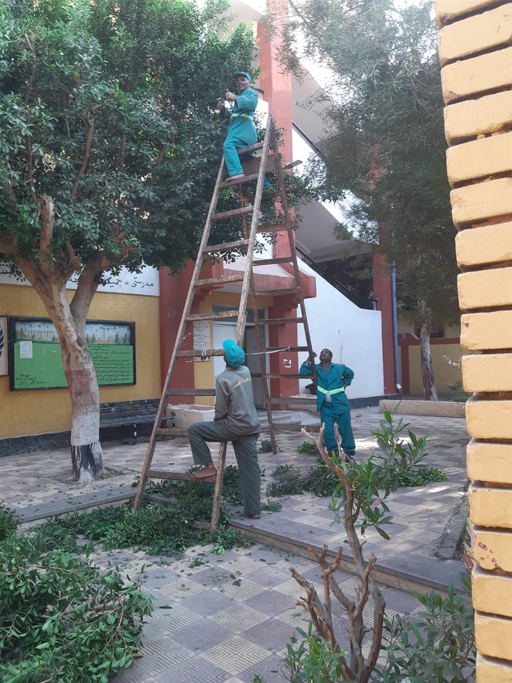 استعدادات مكثفة للانتخابات بالأقصر