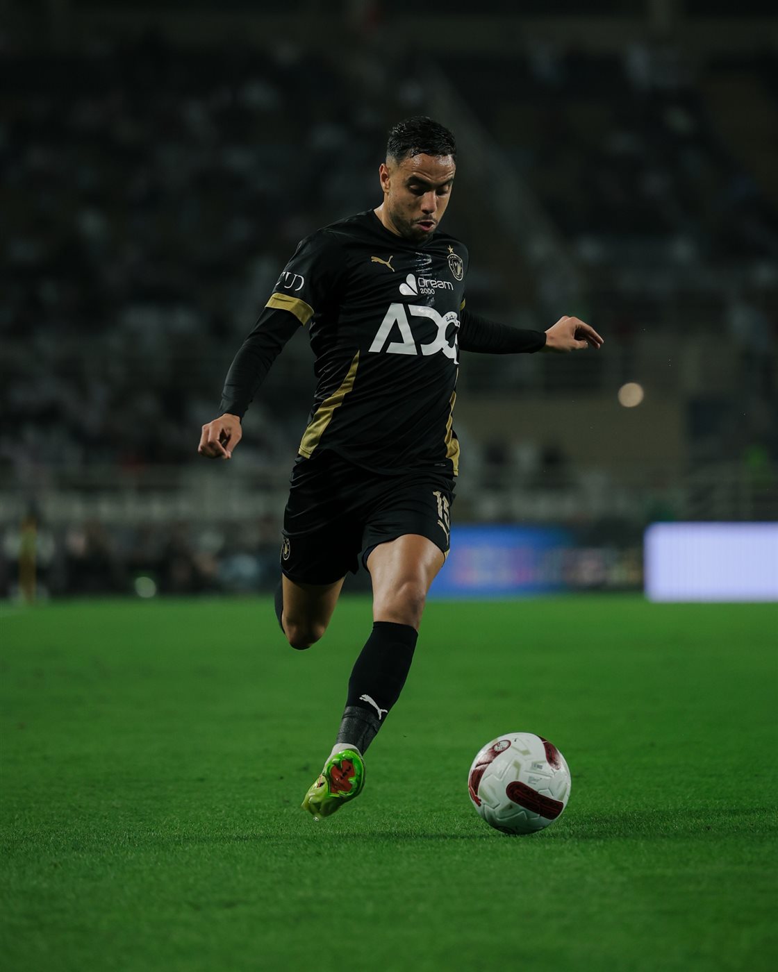 محمد الشيبي