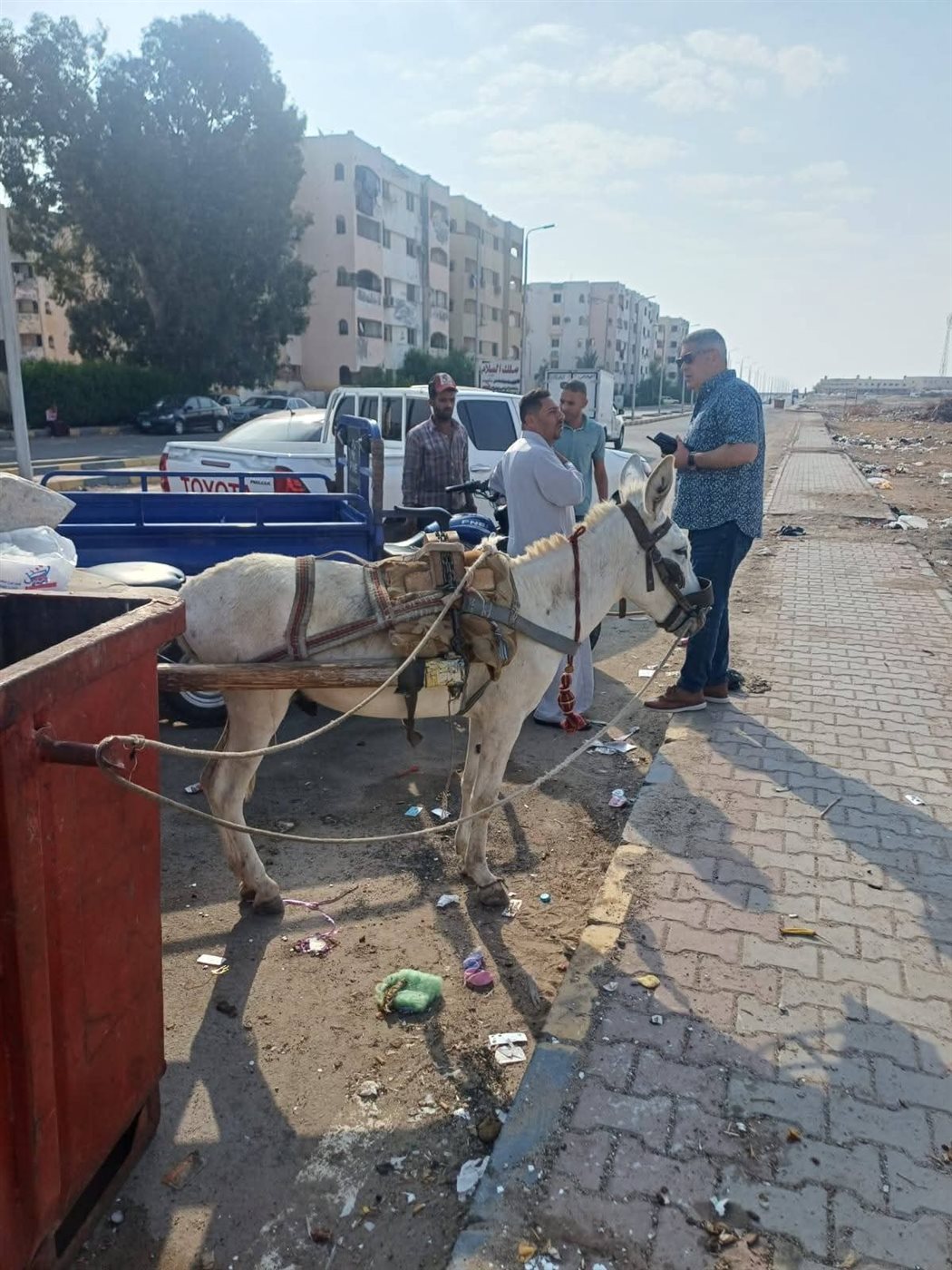  اللواء أحمد جبر رئيس حي جنوب يطارد التروسيكلات 