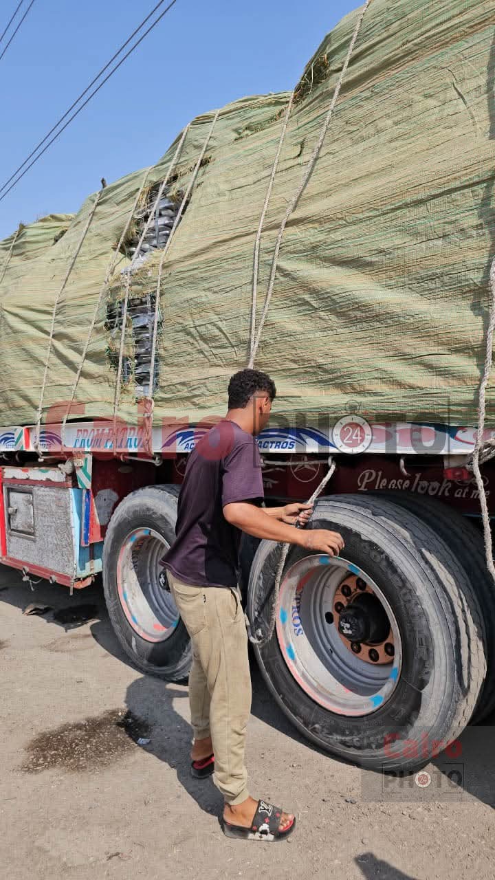 الشاب الشاذلي خلال تربيط الحمولات على سيارات النقل الثقيل في قنا