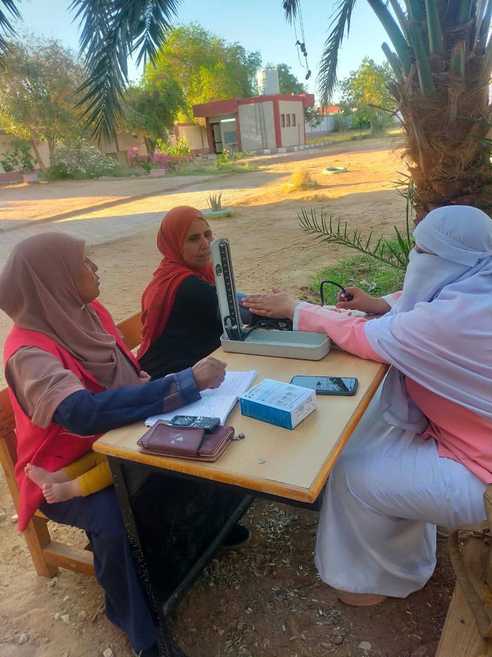 مبادرات مديرية الصحة امام لجان الوادى الجديد