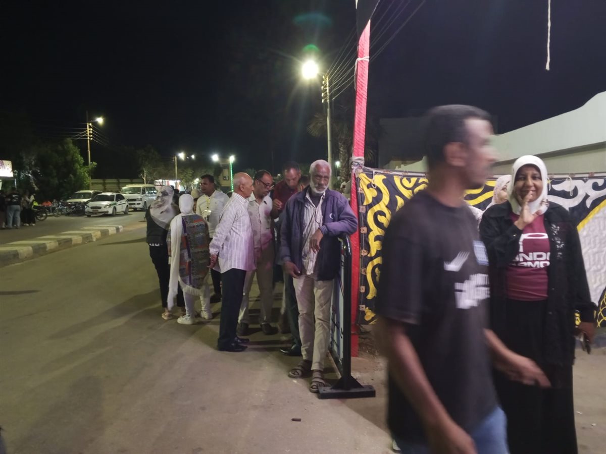 لجان انتخابات النواب في الوادى الجديد