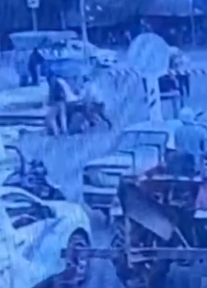 عامل مزلقان سكة حديد بالشرقية ينقذ مسنًا من الموت بأعجوبة قبل لحظات من مرور القطار