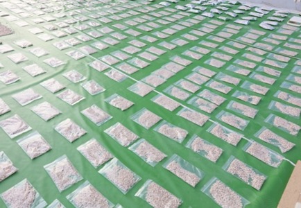 إحباط تهريب شحنة كبتاجون بقيمة 2.7 مليار جنيه