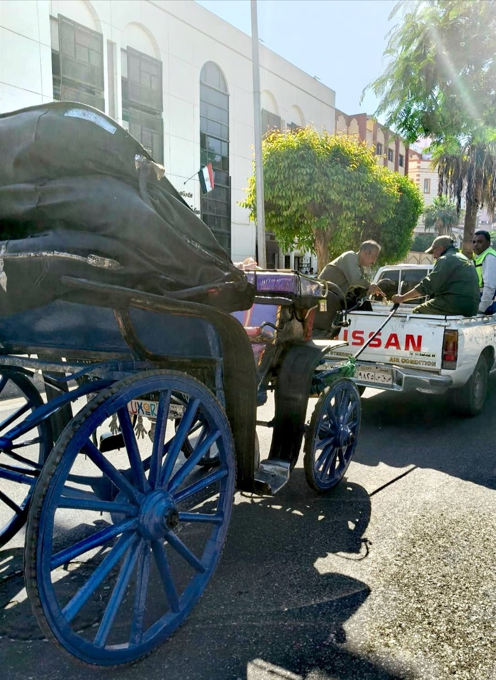 حملات على عربات الحنطور المخالفة بالأقصر