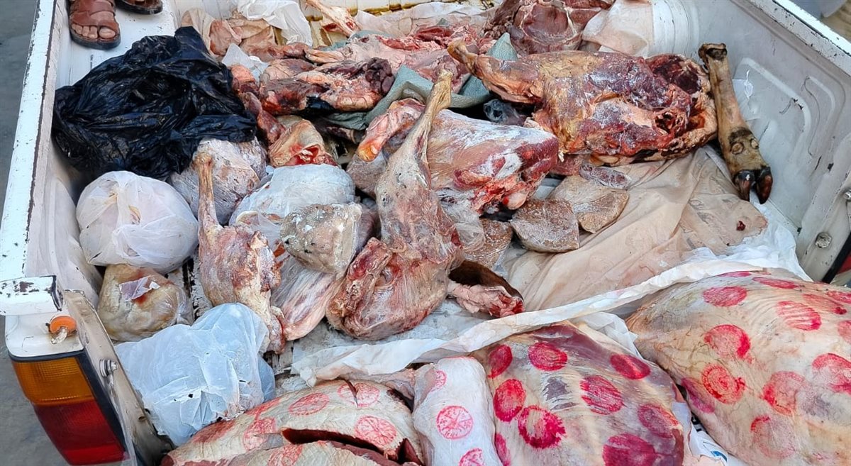 جانب من الحملة