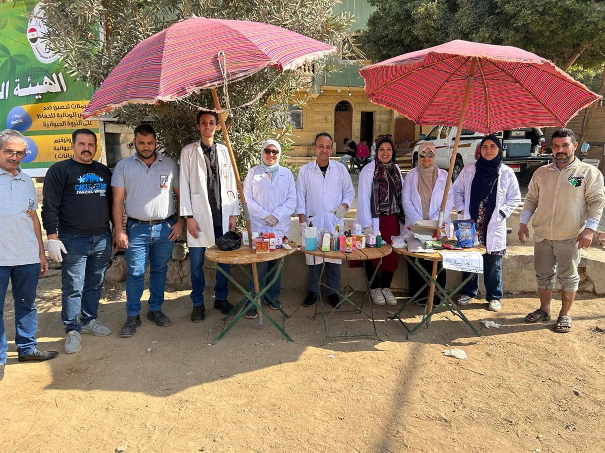 محافظة الجيزة تطلق قوافل بيطرية مجانية لرعاية الخيول والجمال بالمنطقة الأثرية بالأهرامات