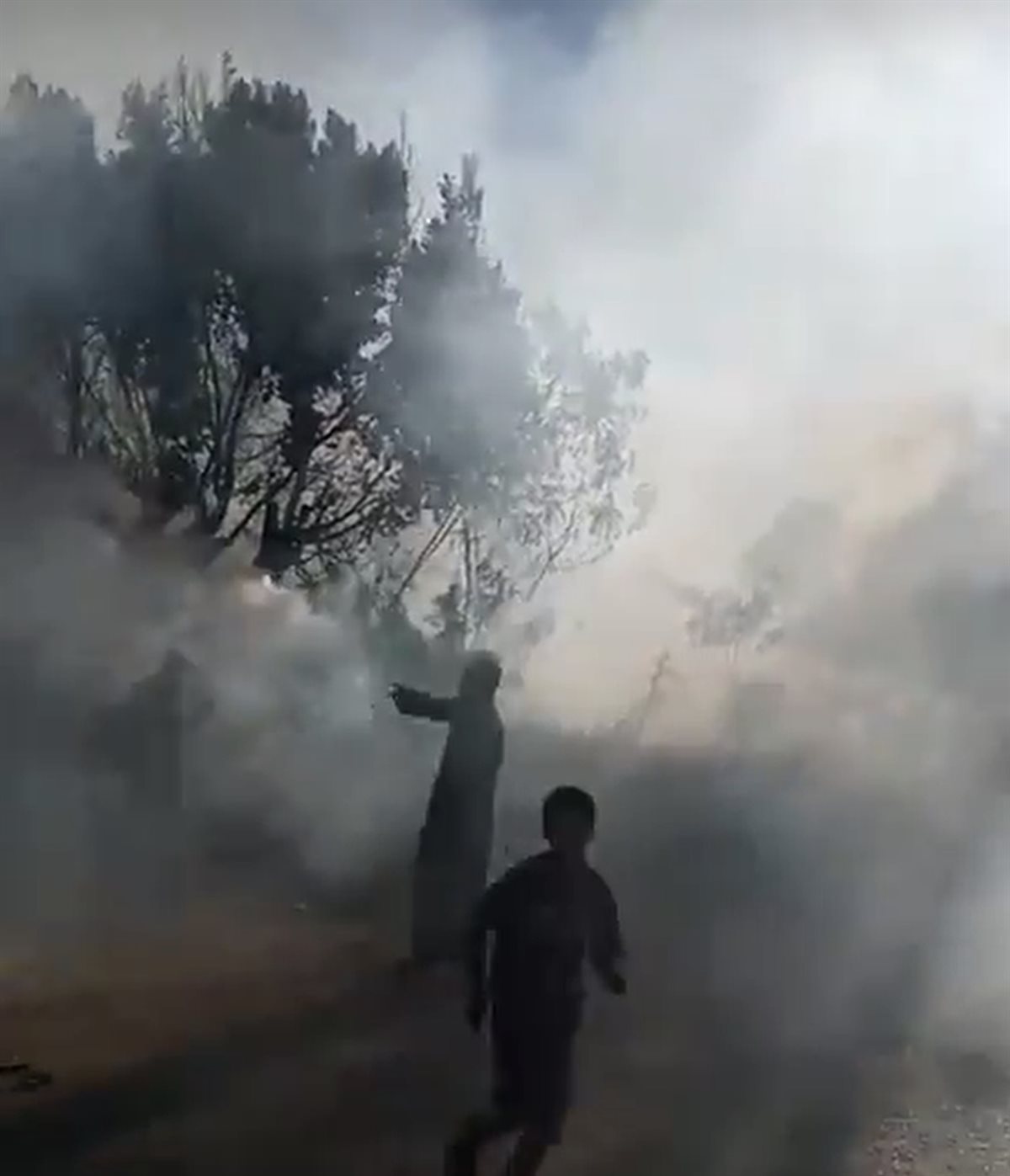 السيطرة على حريق نخيل في اسنا