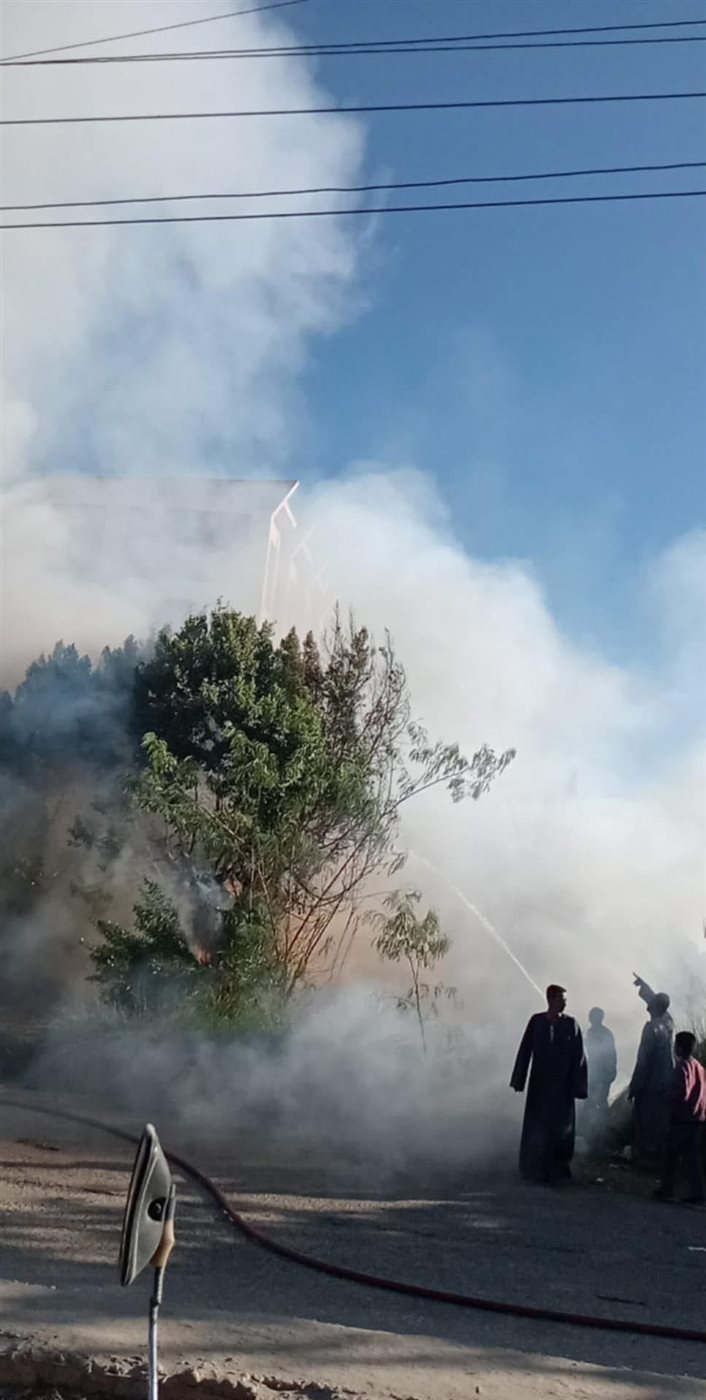 السيطرة على حريق نخيل في اسنا