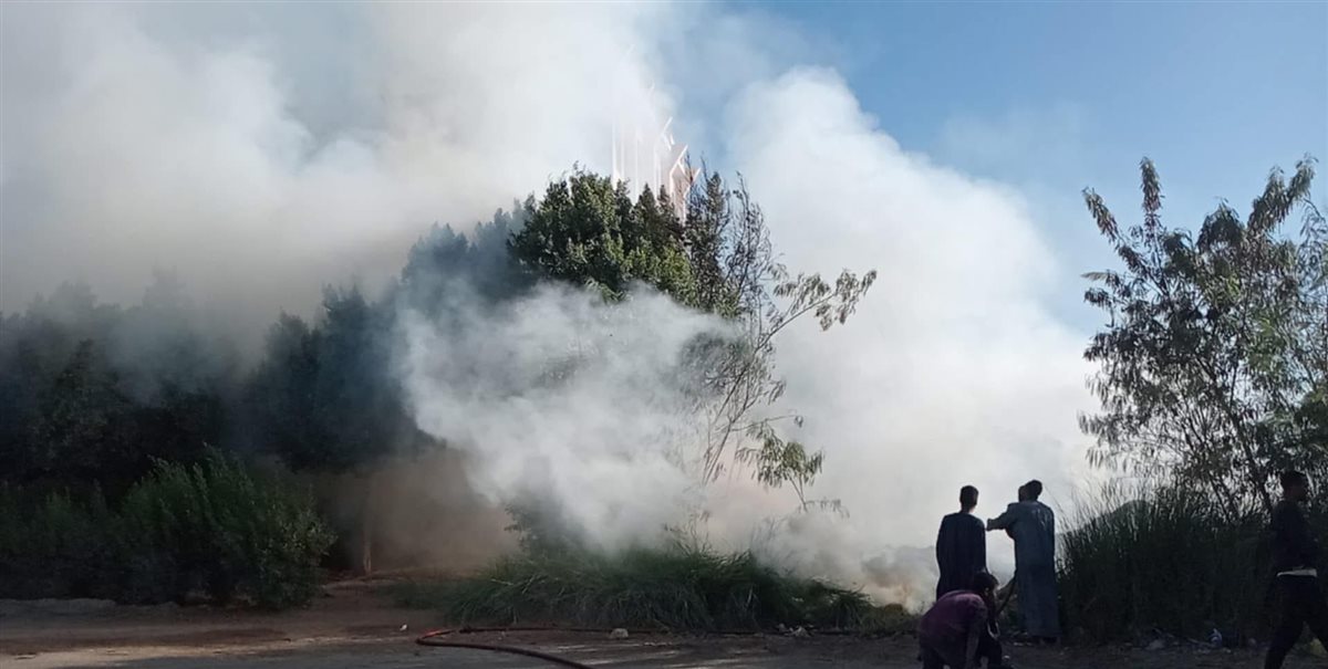 السيطرة على حريق نخيل في اسنا