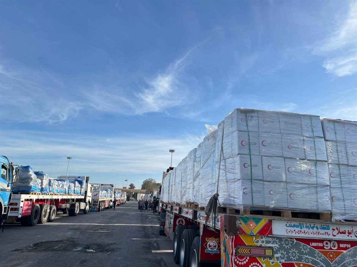 جانب من القافلة