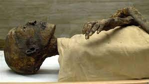 مواد التحنيط