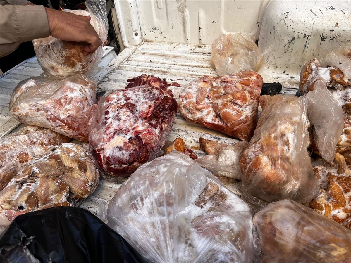 حملات للطب البيطري بالأقصر 