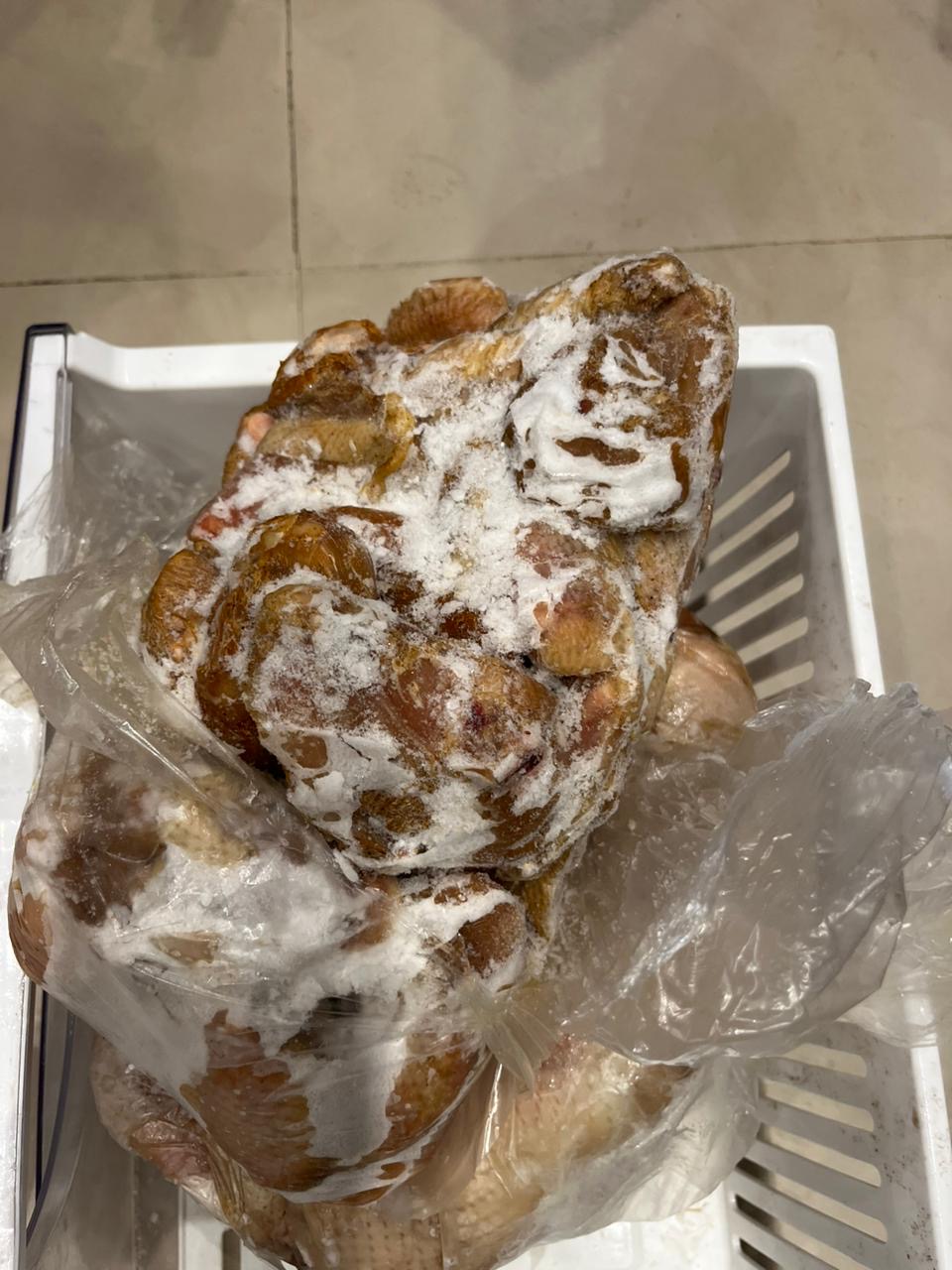 حملات للطب البيطري بالأقصر 