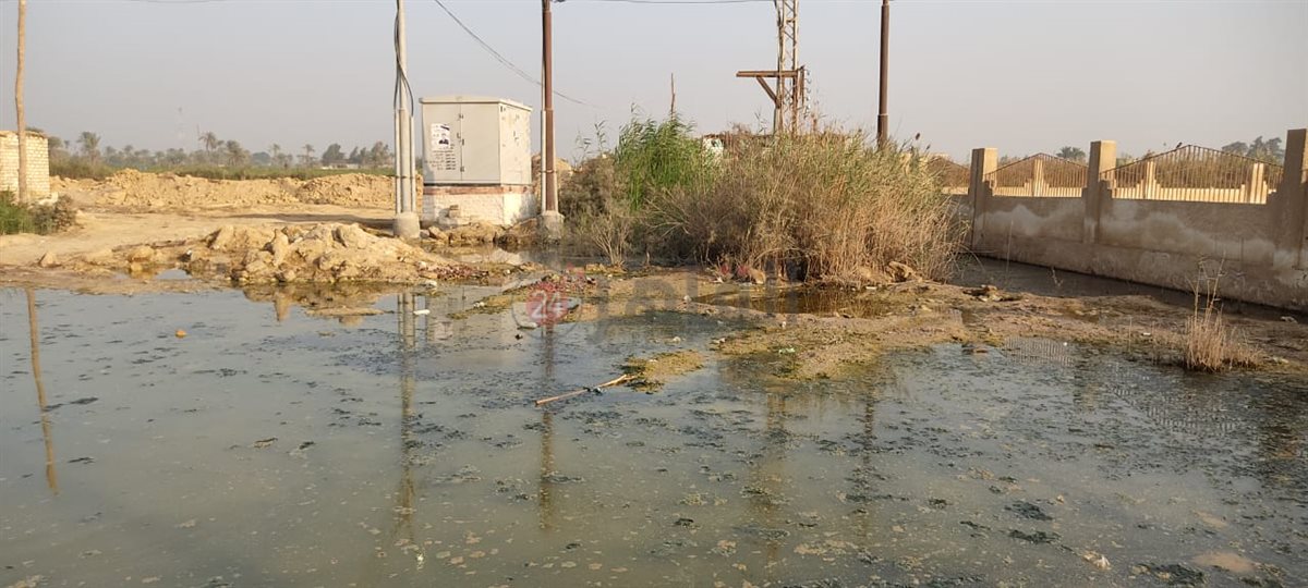 محاصرون بالأمراض.. معاناة أهالي الخمسين مع غرق المنازل بمياه الصرف الزراعي في الفيوم