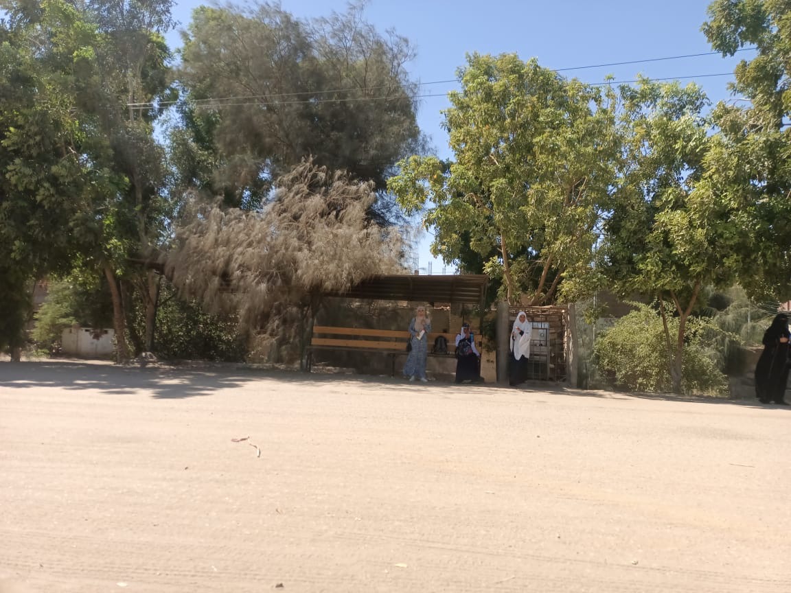 قرية طفنيس بإسنا جنوب الأقصر