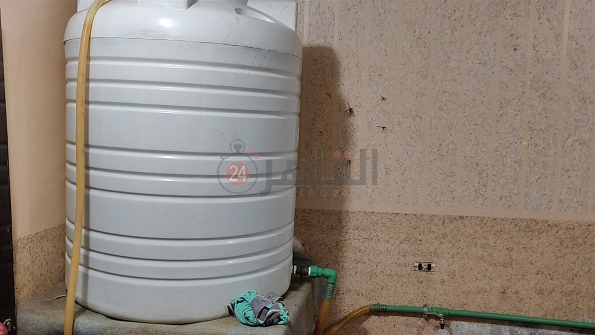 جانب من المضبوطات 