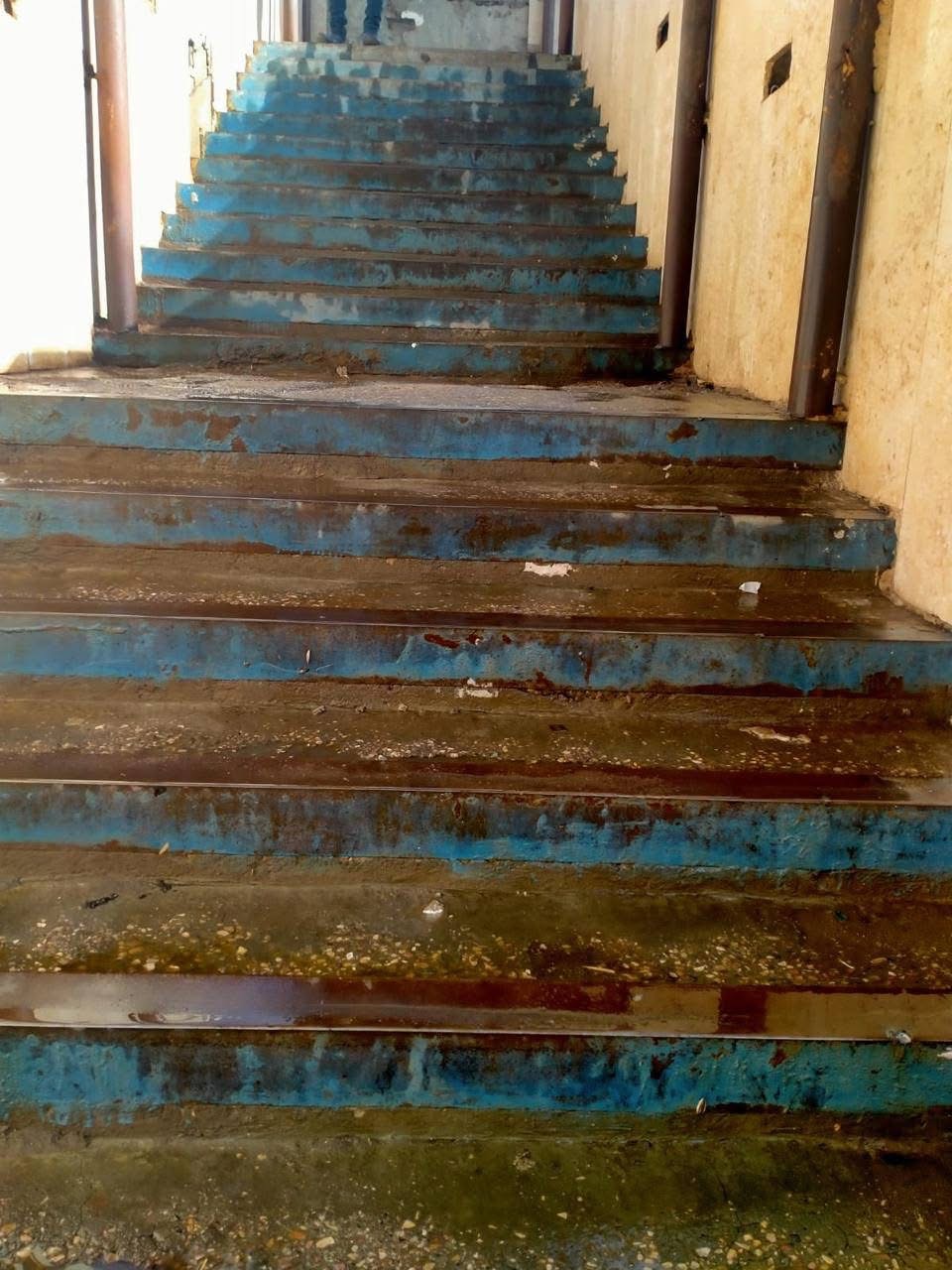 حملة مكبرة وتنظيف كوبري مزلقان القراريش