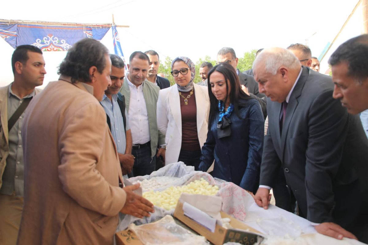 جانب من جولة وزيرة التضامن ومحافظ الوادي الجديد