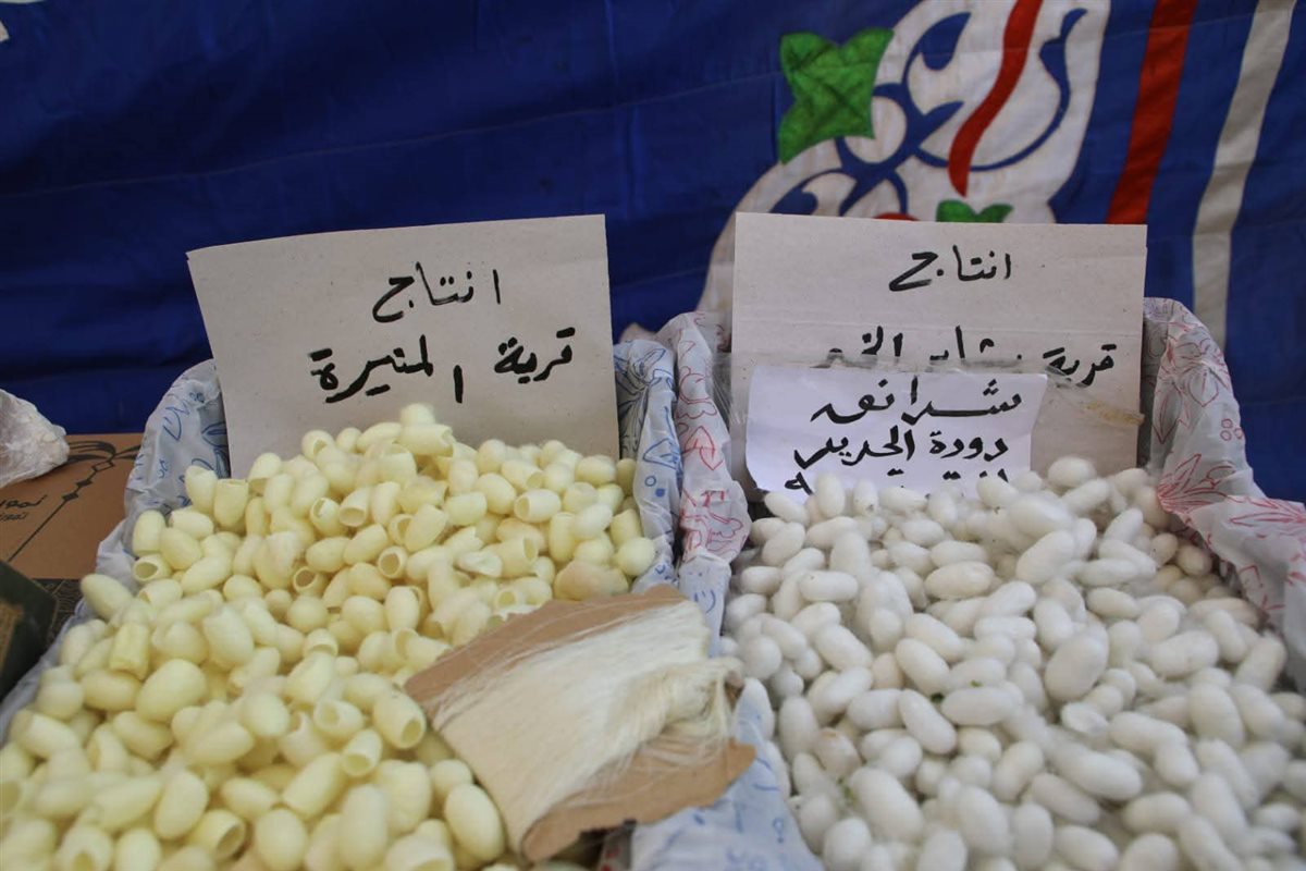 جانب من جولة وزيرة التضامن ومحافظ الوادي الجديد