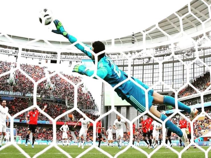 تألق الشناوي في أمم إفريقيا 2018