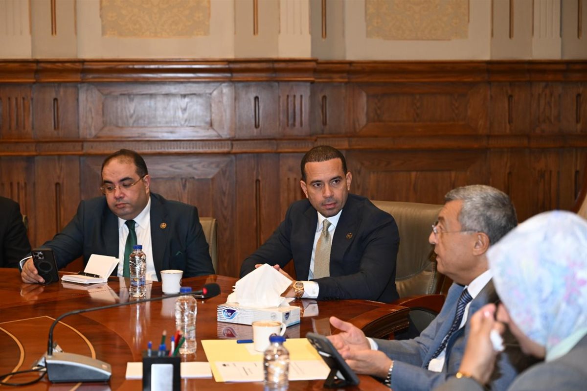 <strong>اجتماع لجنة الطاقة بحضور محمد زكي</strong>