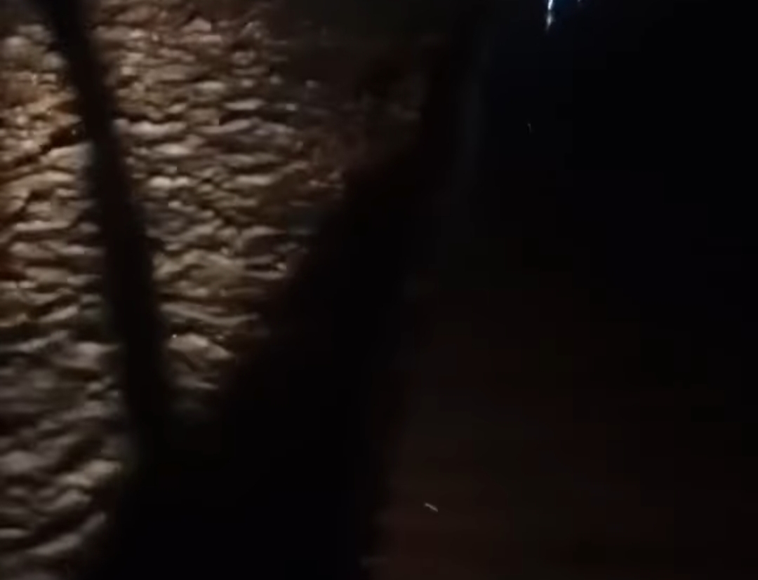 سيول مرسي علم 