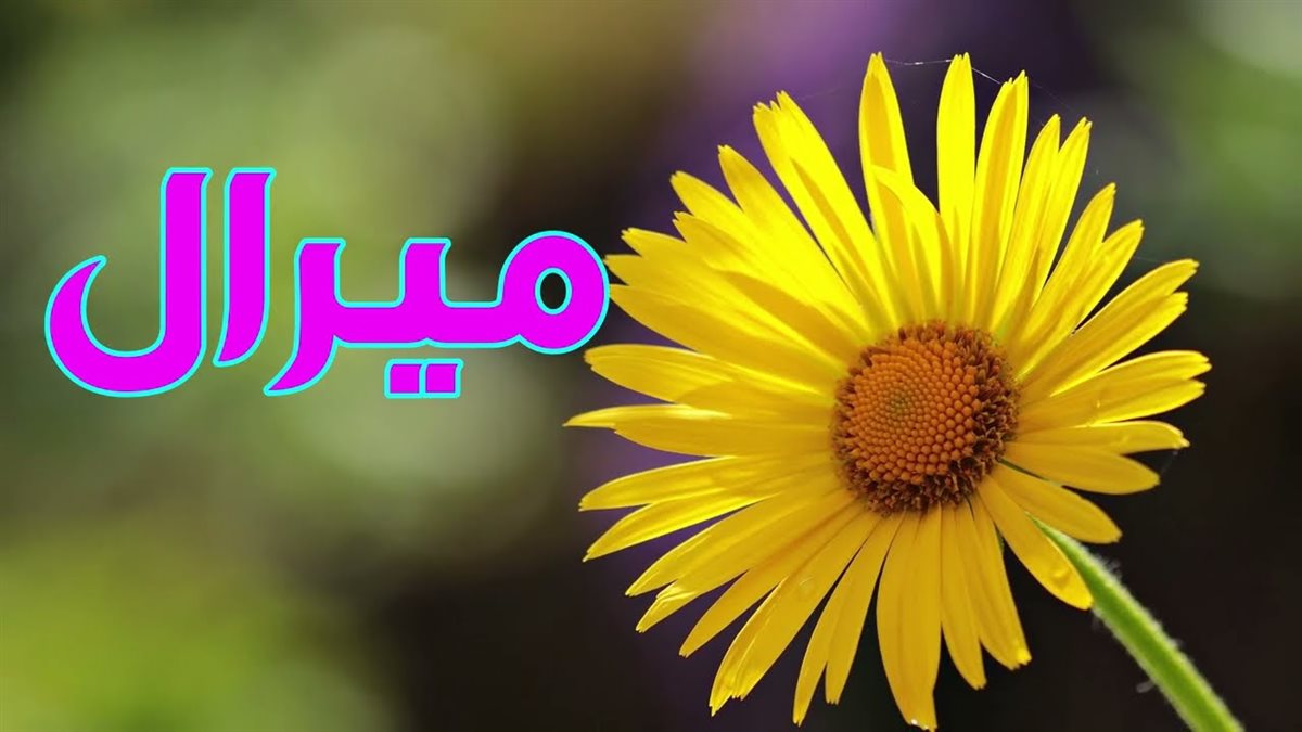 دلع اسم ميرال