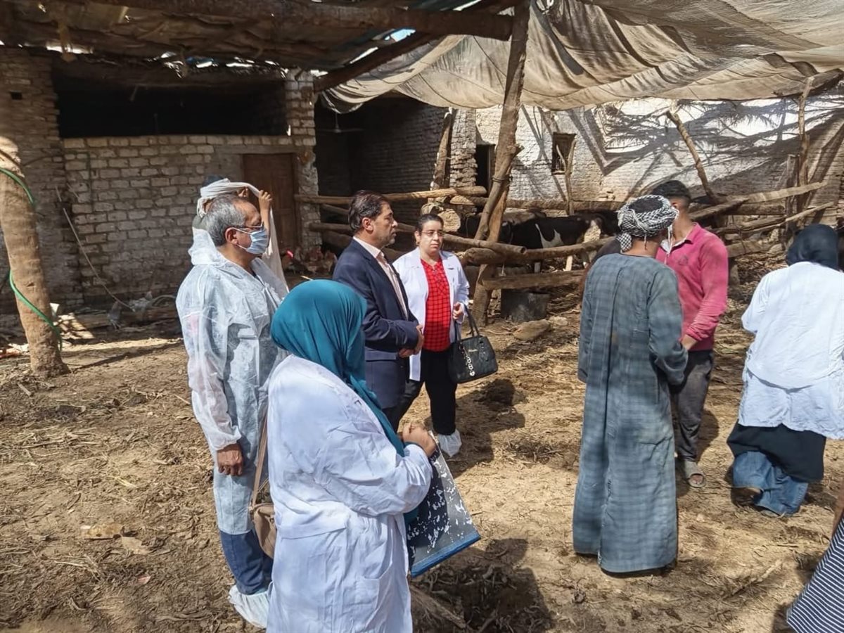 تحصين الحيونات بالأقصر