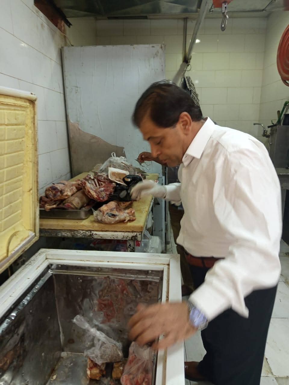 حملات الطب البيطري