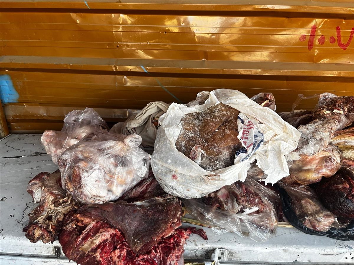 ضبط لحوم فاسدة بالأقصر