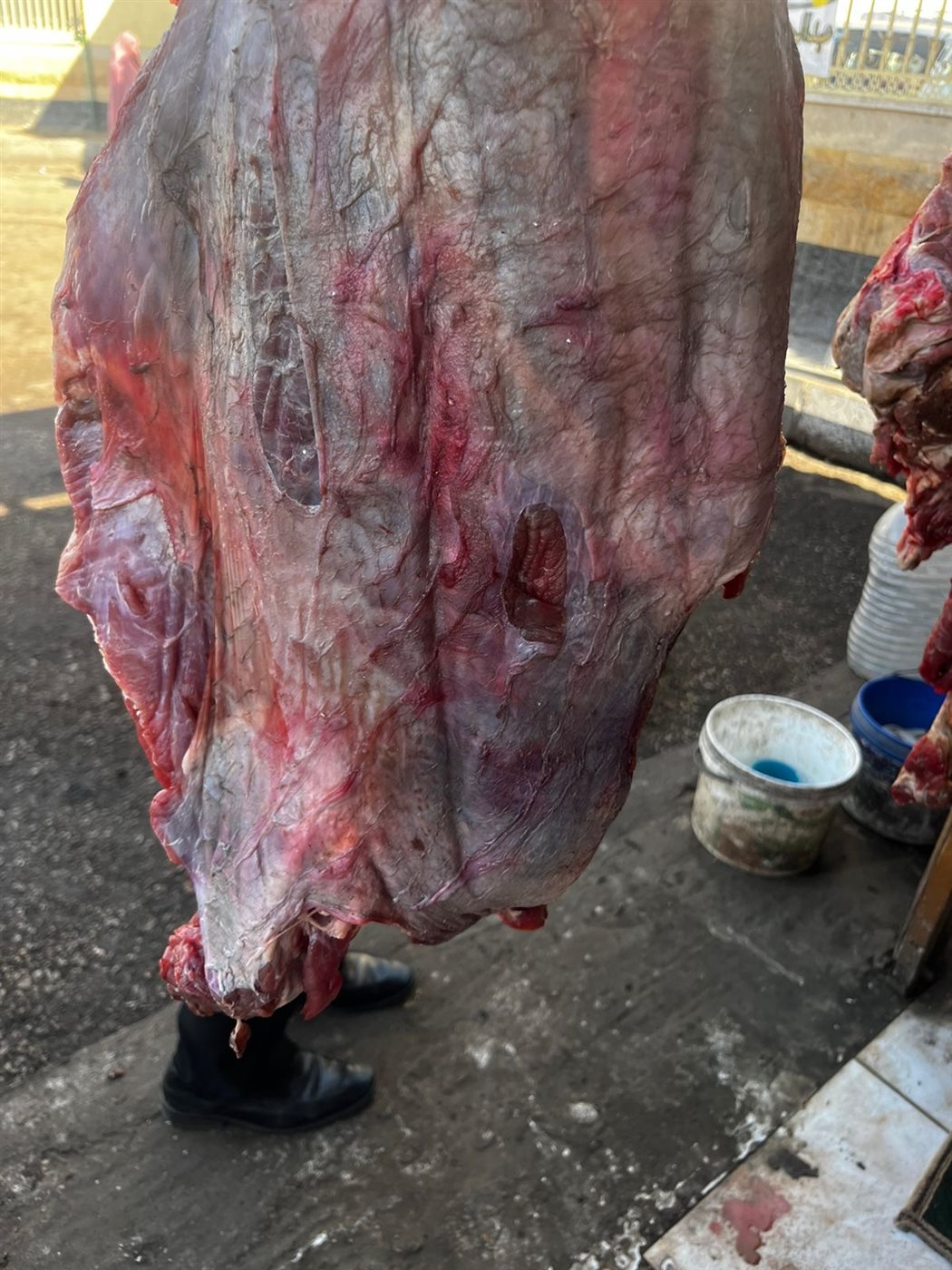 ضبط لحوم فاسدة بالأقصر