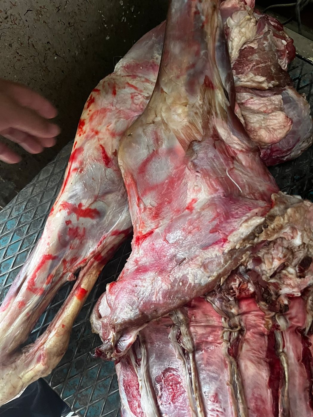 ضبط لحوم فاسدة بالأقصر