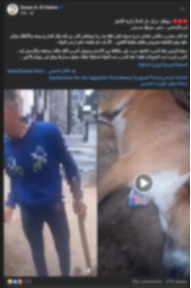 <strong>القبض على المتهم بالتعدي على كلب باستخدام كوريك في سوهاج</strong>