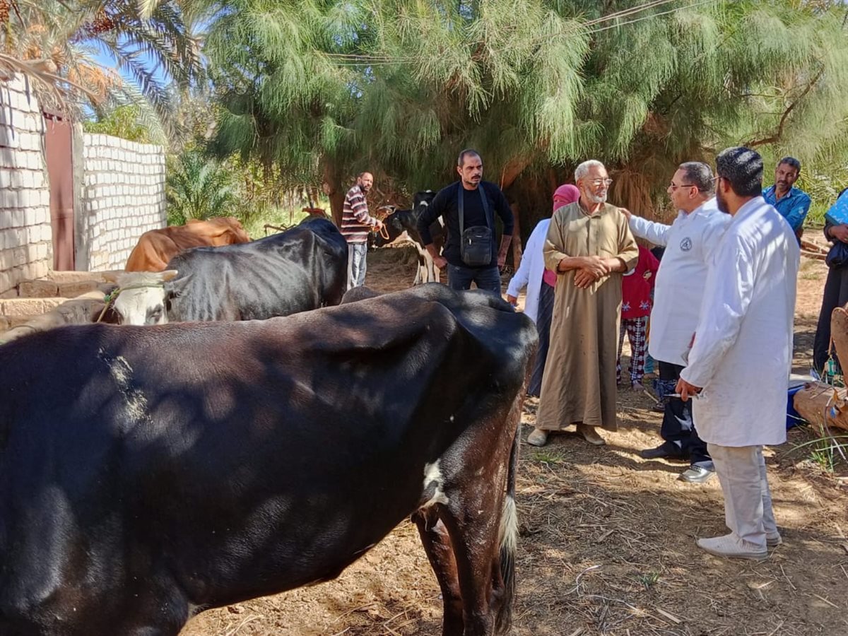 تحصين الماشية