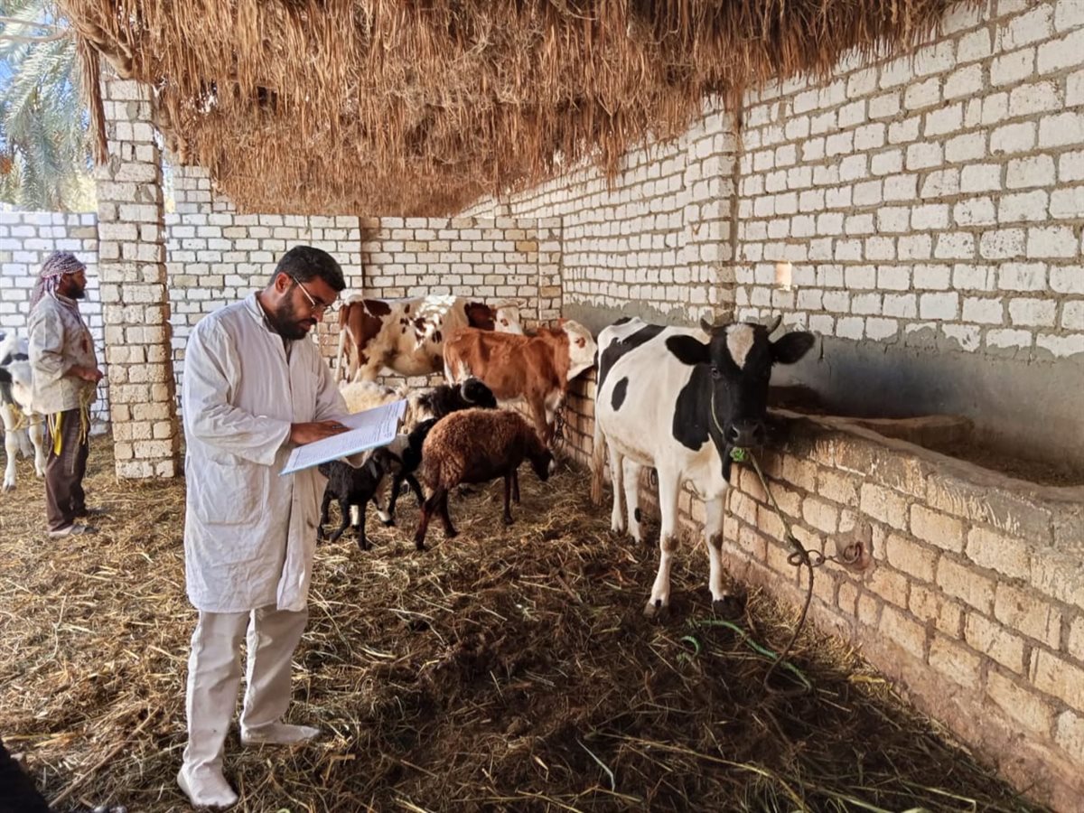 تحصين الماشية