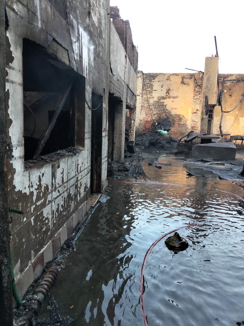 WhatsApp Image 2025-12-02 at 10.50.29 AM