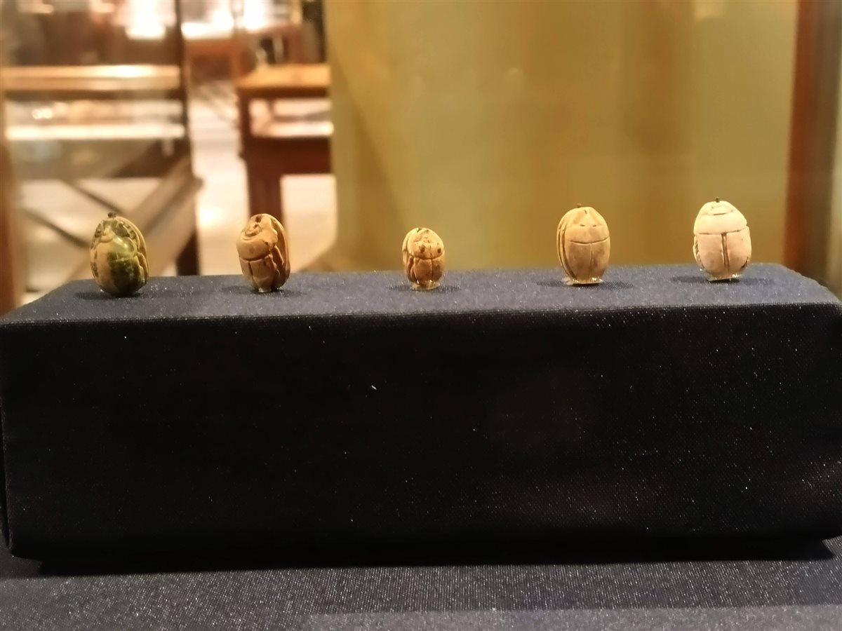 جعارين الملكة نفرتاري