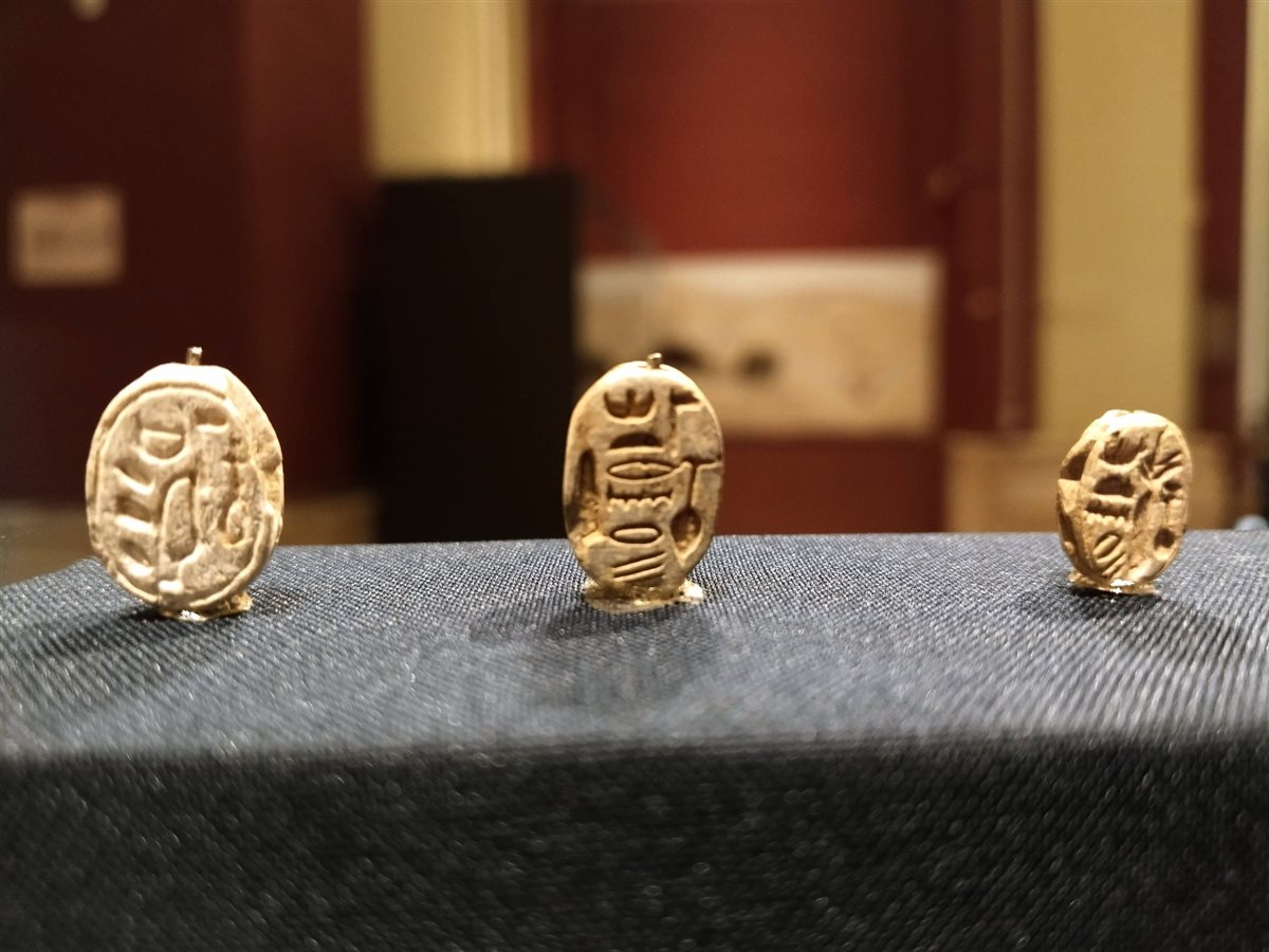 جعارين الملكة نفرتاري