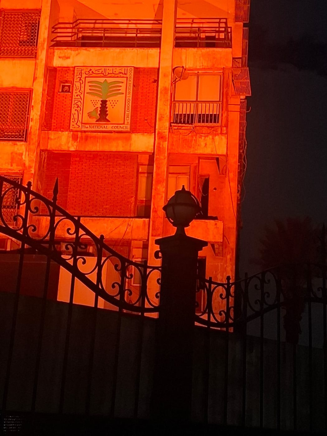 القومي للطفولة والأمومة يشارك في حملة مناهضة العنف ضد المرأة والفتاة