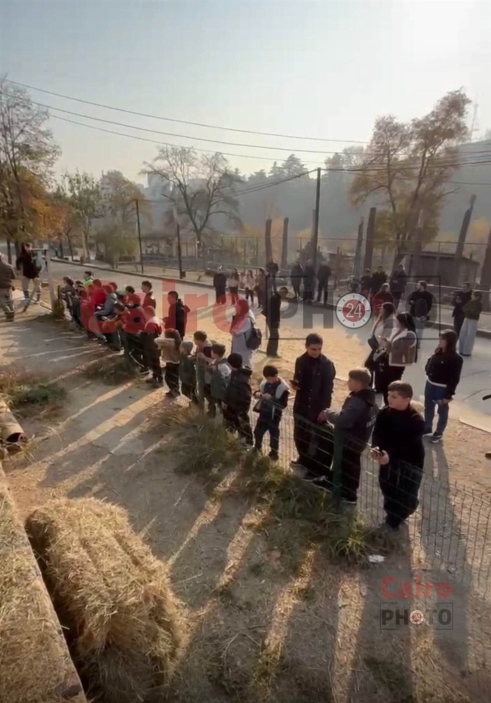 لأول مرة.. تحالف تطوير حديقة الحيوان يدرب العمال على التعامل مع الأفيال في جورجيا قبل قدوم 4 فيلة لمصر