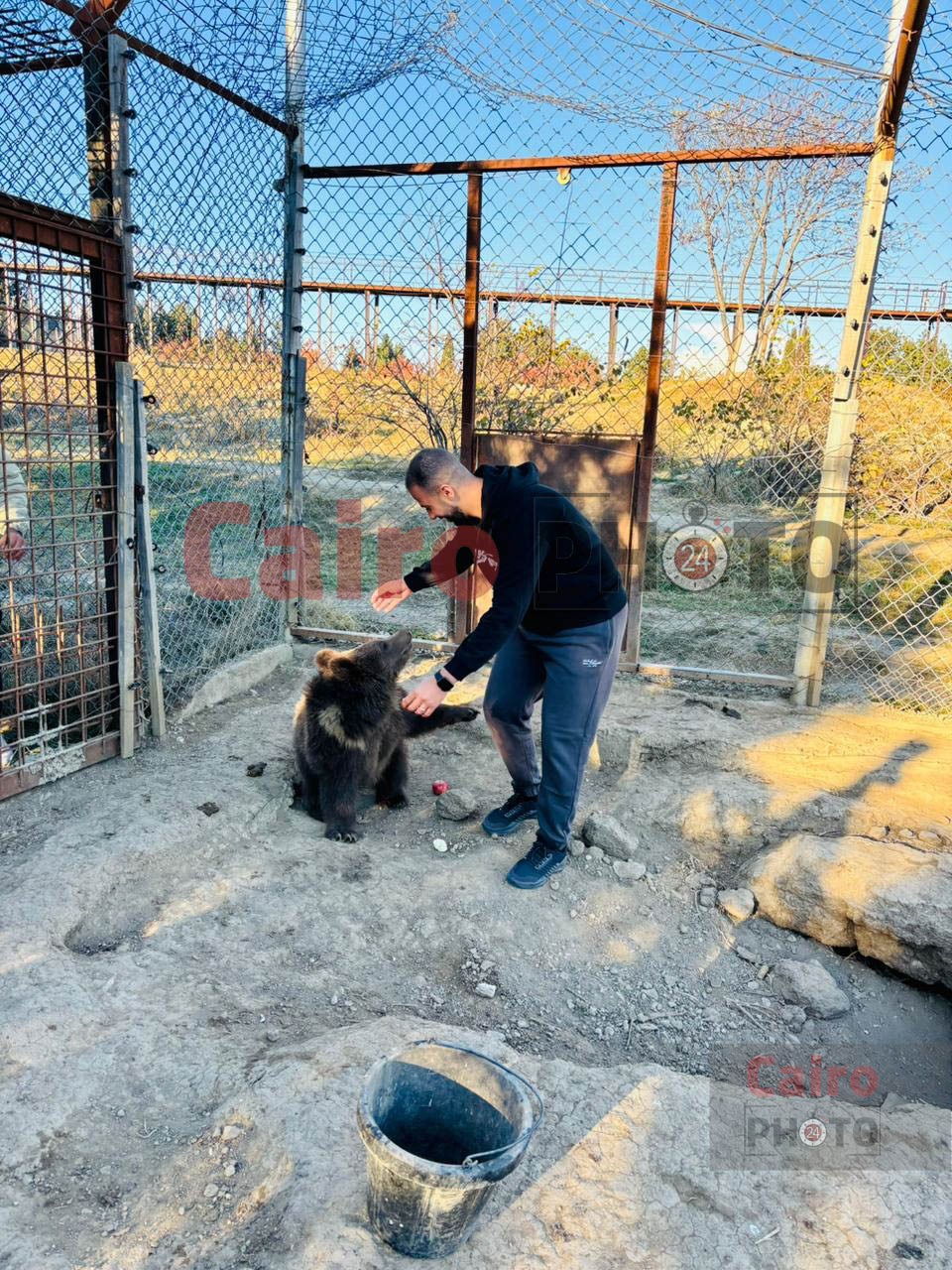 لأول مرة.. تحالف تطوير حديقة الحيوان يدرب العمال على التعامل مع الأفيال في جورجيا قبل قدوم 4 فيلة لمصر